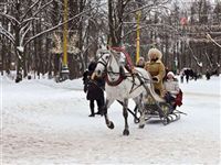 Морозы уходят из Центральной России, оставив десятки жертв