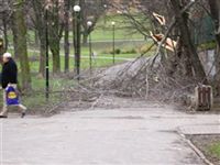 Мощная буря с градом и порывистым ветром обрушилась на юг Польши