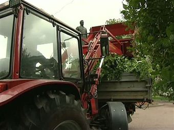 Петербург приходит в себя после урагана