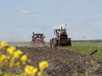 Сельское хозяйство Украины застыло на грани выживания