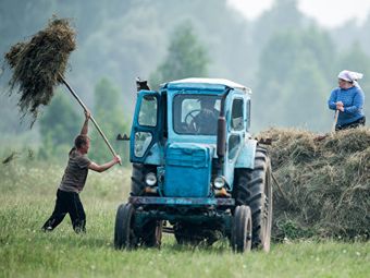 Бизнес энтузиастов: догонит ли российская органическая отрасль Европу