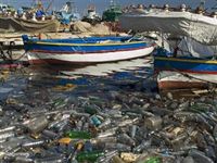 Куда пропадает пластиковый мусор из океана? Возможно, микробы научились его "разжёвывать" 