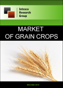 Market of Grain Crops. Current Situation and Forecast